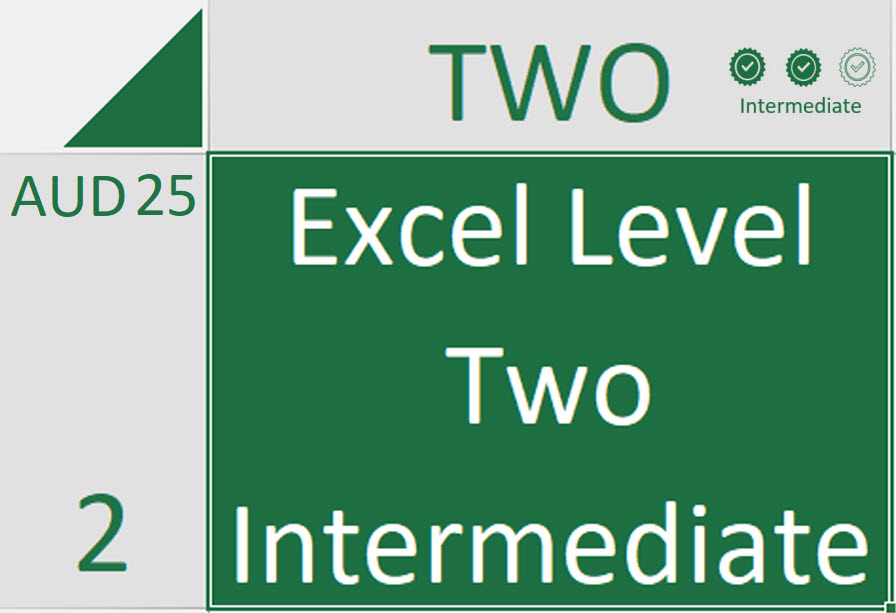 Excel Level Two Intermediate 2024 4hrs 30min